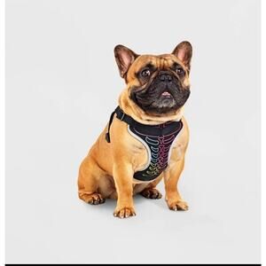 Neon Skeleton Halloween Dog Harness - Medium New